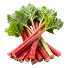 Fresh Rhubarb Stalks: Recipes & Images isolated on transparent background