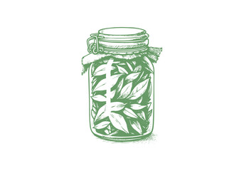 Bay Leaf Hand Drawn Illustration Sketch Vector Isolated