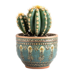 A Small Compact Cactus in a Blue Pot Isolated on Transparent Background