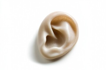 A detailed image of a human ear on a white background, ideal for medical or educational purposes