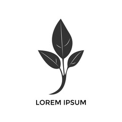 Sprout Logo Isolated White background. Vector Illustration