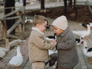 Two little boys stand on a farm among geese, warming each other&rsquo;s hands. They hold onto each other and blow on their hands to keep warm. A cozy rural moment in cold weather.