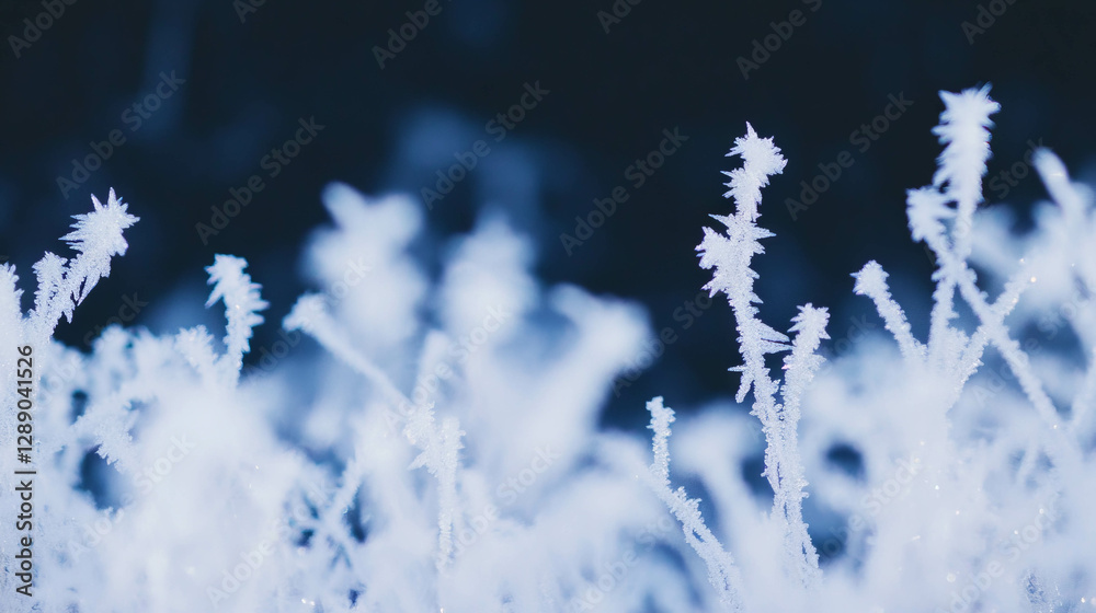 Poster frozen fog and diffused light scene for winter design projects