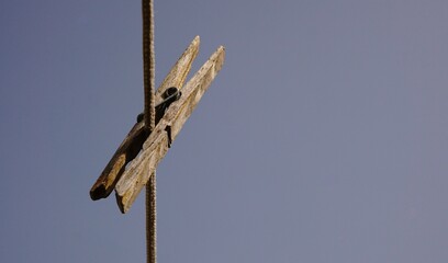 wooden clothespin against the sky