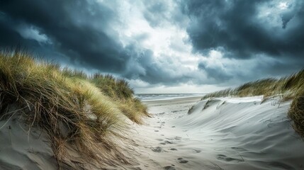 Dramatic Coastal Landscape with Dark Clouds Over Sandy Dunes and Grassy Vegetation at the Beach