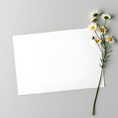 Obraz premium Minimalist Blank Paper with Daisies for Elegant Mockup Designs