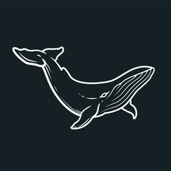 Abstract line illustration of a whale