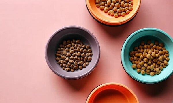 Colorful Pet Food Bowls with Pellets on Pink Surface