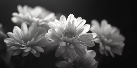 Papier peint photo A bouquet of various flowers in shades of gray and white