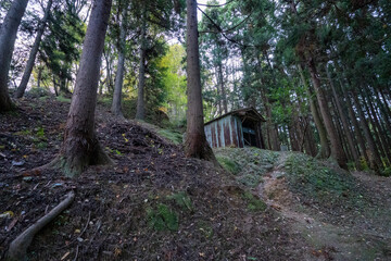 Historic old road “Salt Road” which is also a long distance hiking course and its surroundings