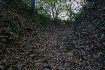 Historic old road “Salt Road” which is also a long distance hiking course and its surroundings