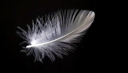 Obraz premium Macro Shot of a Suspended Feather