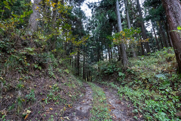 Obraz premium Historic old road “Salt Road” which is also a long distance hiking course and its surroundings