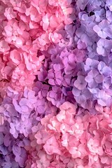 Fototapeta premium A close-up shot of a bouquet of vibrant purple and pink flowers