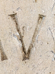 Written Wording in Distressed State Typography Found Ransom Letter V