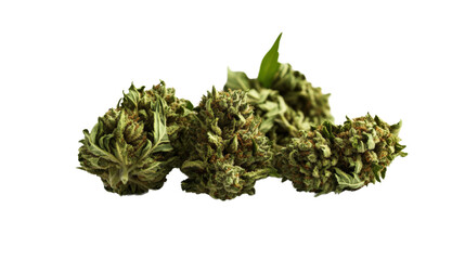 Marijuana buds arranged on a black background showcasing green colors and unique textures of cannabis isolated on transparent background..