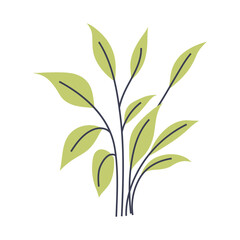 Stylized illustration of light green plant. Perfect for creating minimalist and modern plant designs