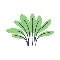 Cute illustration of green plant. Perfect for creating minimalist and modern plant designs