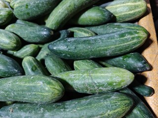 cucumbers in a market