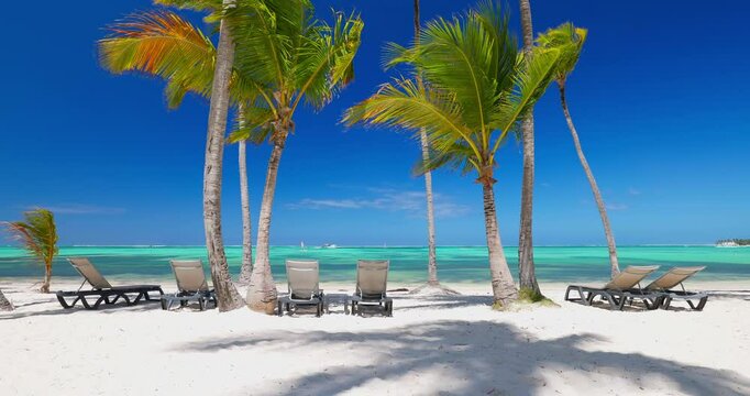 relaxing landscape sun loungers on tropical beach shore with palm trees and caribbean sea turquoise waters and ocean breeze