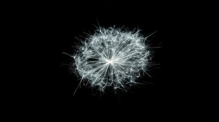 Fototapeta premium close up of dandelion seed head against black background, showcasing its delicate structure and intricate details. image highlights fragile beauty of nature
