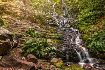 Pilj Waterfall Cascading down Rocks in Mountain Forest