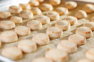 Freshly baked sugar cookies on tray in bakery factory setting