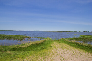 flooded farm field