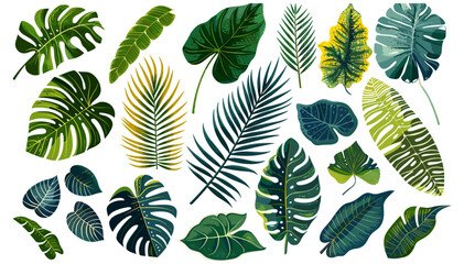 Assorted Tropical Leaves Vector, Palm, Banana, Green Foliage, Exotic Jungle Plants, Nature Illustration, Botanical Art, Lush Rainforest, Summer Vibes, Fresh Leaf Design
