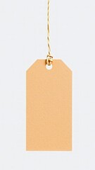 A blank, eco-friendly kraft paper tag with a string, perfect for labeling products or gifts. Perfect Any Project.