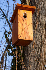 A wooden birdhouse is mounted on a tree, with a visibly damaged entrance hole. 