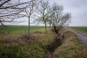 A road runs through a field with trees on either side