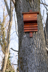 Unique wooden birdhouse on a tree.