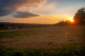 sunset in the field
