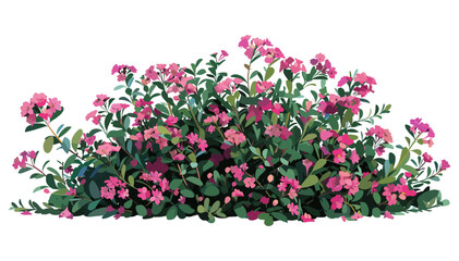 Vector Bush with Vibrant Pink Flowers, blooming shrub, botanical illustration, floral plant, isolated greenery, nature clipart, garden foliage, spring flora, artistic leaves © aura studio