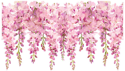 Pink Cascading Wisteria Vector, Hanging Floral Vine, Spring Bloom, Romantic Garden Flowers, Botanical Art, Blossom Illustration, Nature Aesthetic, Elegant Petals © aura studio