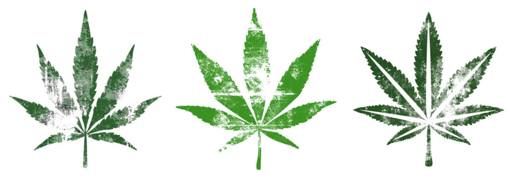 Cannabis leaf vector stamp with grunge texture, marijuana symbol, distressed emblem, isolated on transparent background, hemp icon, weed badge, organic plant, herbal medicine