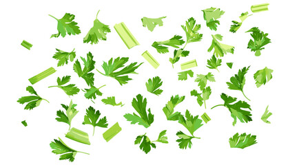 Fresh green chopped celery leaves, top view, white background, texture, organic herb, raw food, salad ingredient, healthy vegetable, natural garnish, culinary seasoning