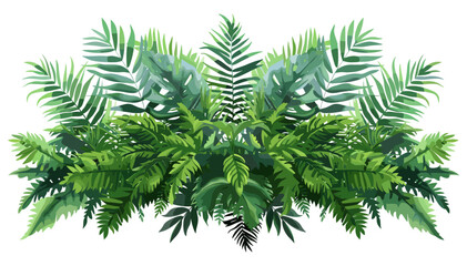 Vector Tropical Foliage and Green Ferns Cluster, Exotic Leaves, Jungle Plants, Lush Botanical, Nature Illustration, Tropical Greenery, Rainforest Flora, Palm Leaves, Monstera © aura studio