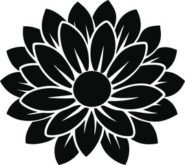 everlasting flower silhouette on white background