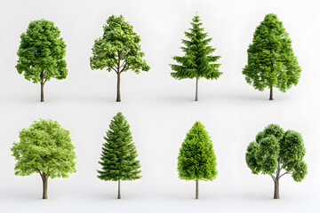 Obraz premium 3d realistic green trees collection isolated on white background