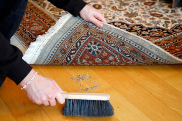 Etwas unter den Teppich kehren