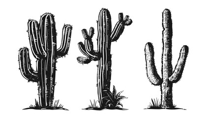 Retro desert illustration, cactus silhouette, grunge stamp, distressed texture, vintage stencil, southwestern cactus design, nature print, desert scenery © aura studio