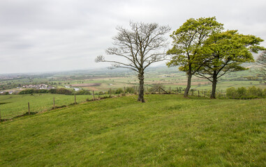 Trees in a small park at Bar Hill, with the Scottish countryside in the Background