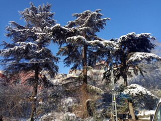 Winter in Istanbul, 2025