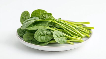 fresh raw spinach on a plate isolated on white background