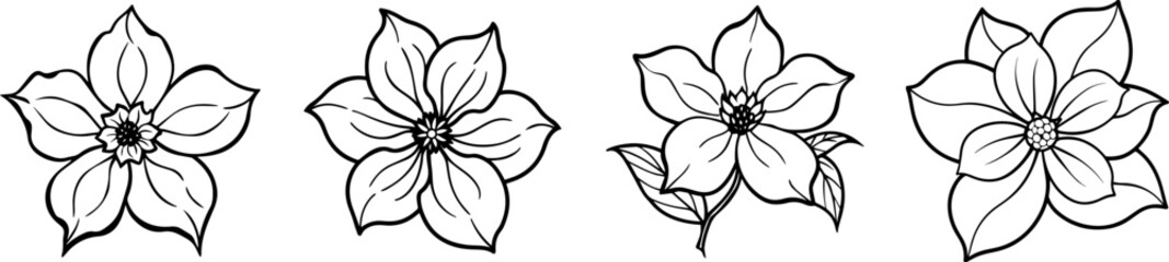 Set of Line art of dogwood flower vector illustration
