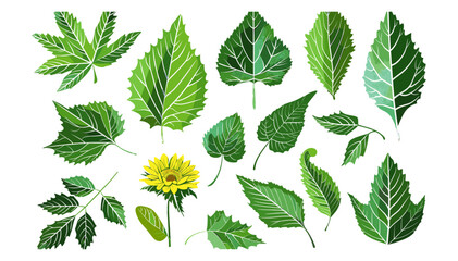 Green Sunflower Leaves Vector, Various Shapes, Nature Elements, Botanical Foliage, Hand-Drawn Leaf Set, Eco-Friendly Design, Floral Ornament, Illustration, Decorative Clipart
