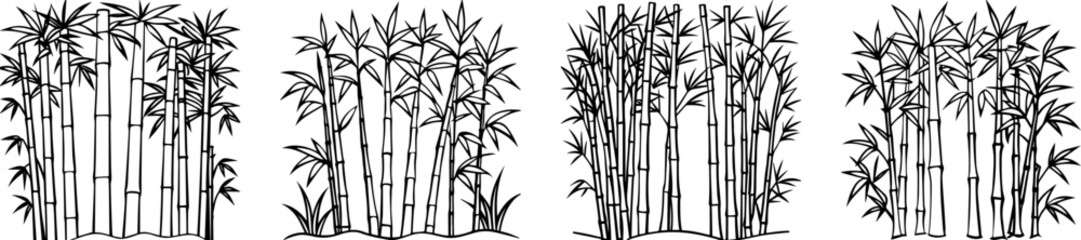 Obraz premium Set of Bamboo Grove outline Vector Illustration, Line Art