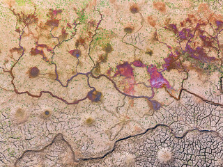 Fototapeta premium Chemical wastes close up. Dry and cracked ground background. Global warming and climate change. Environmental pollution by chemical waste. Ecological catastrophe